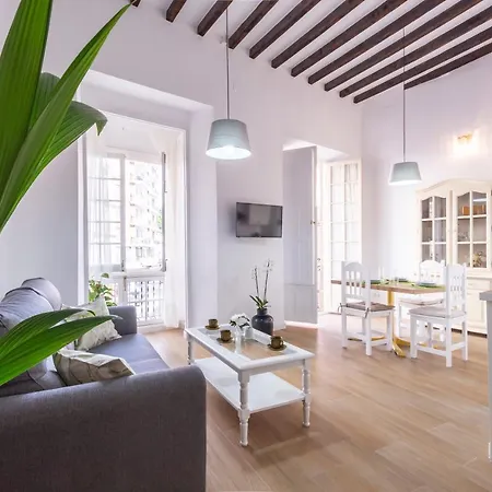 Sanders Jacaranda - Inviting Two-bedroom Downtown Málaga